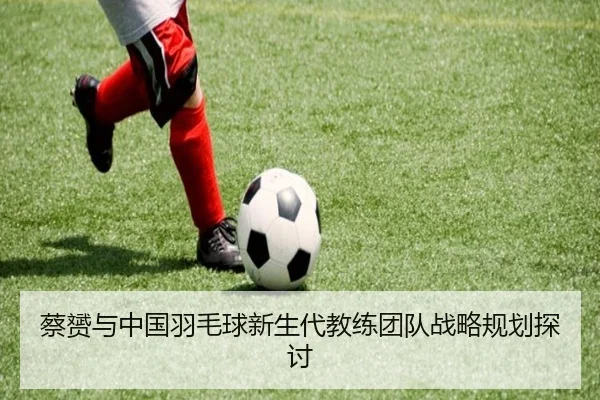 蔡赟与中国羽毛球新生代教练团队战略规划探讨